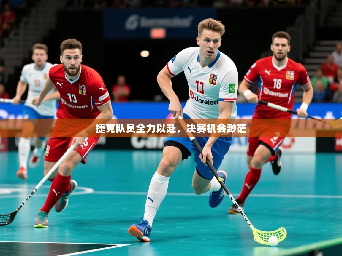 2025完美体育客服捷克队员全力以赴，决赛机会渺茫