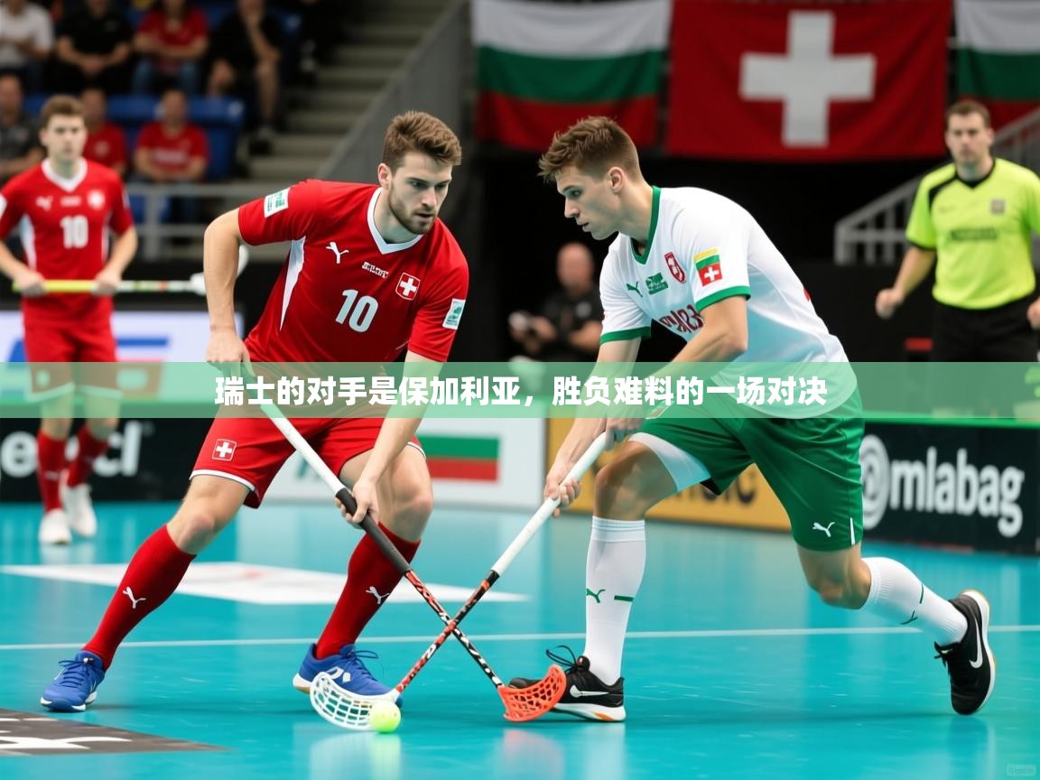 2025完美体育官网瑞士的对手是保加利亚，胜负难料的一场对决  第1张