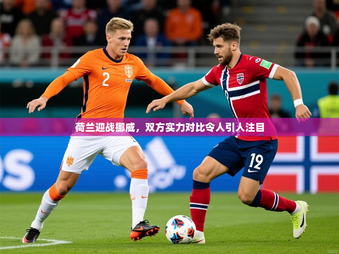 2025完美体育官方体育平台荷兰迎战挪威,双方实力对比令人引人注目  第4张