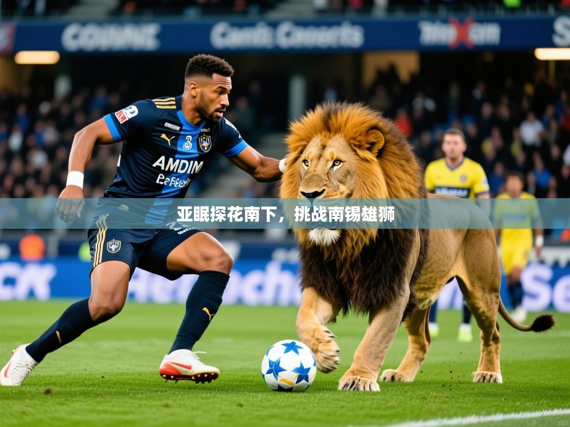 2025完美体育手机网页版亚眠探花南下,挑战南锡雄狮  第1张