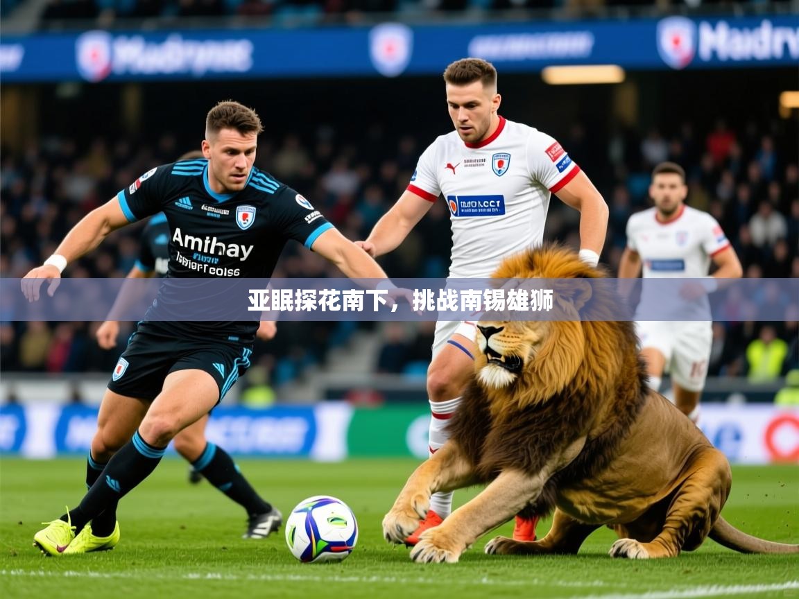 2025完美体育手机网页版亚眠探花南下,挑战南锡雄狮  第2张