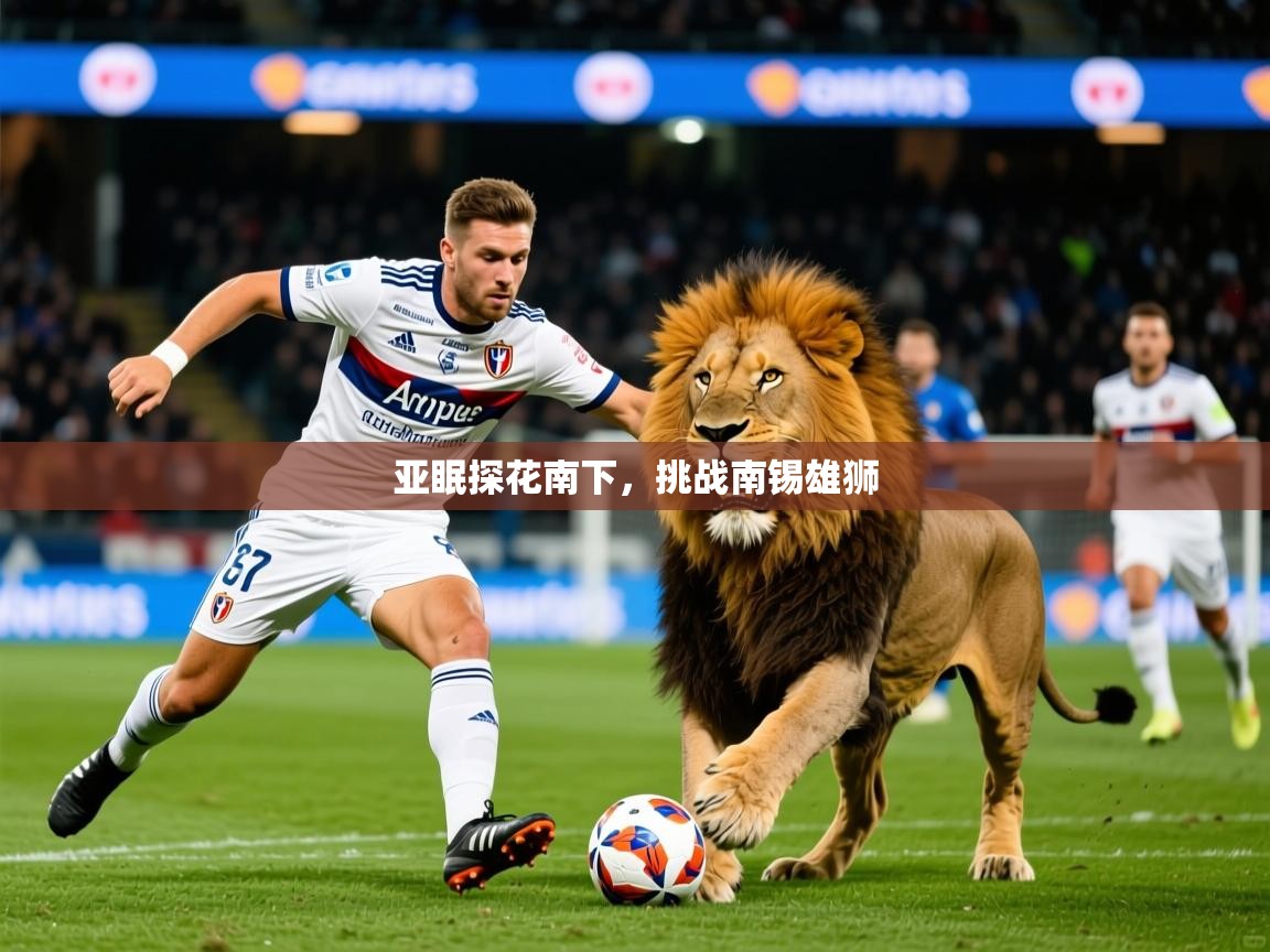 2025完美体育手机网页版亚眠探花南下,挑战南锡雄狮  第3张