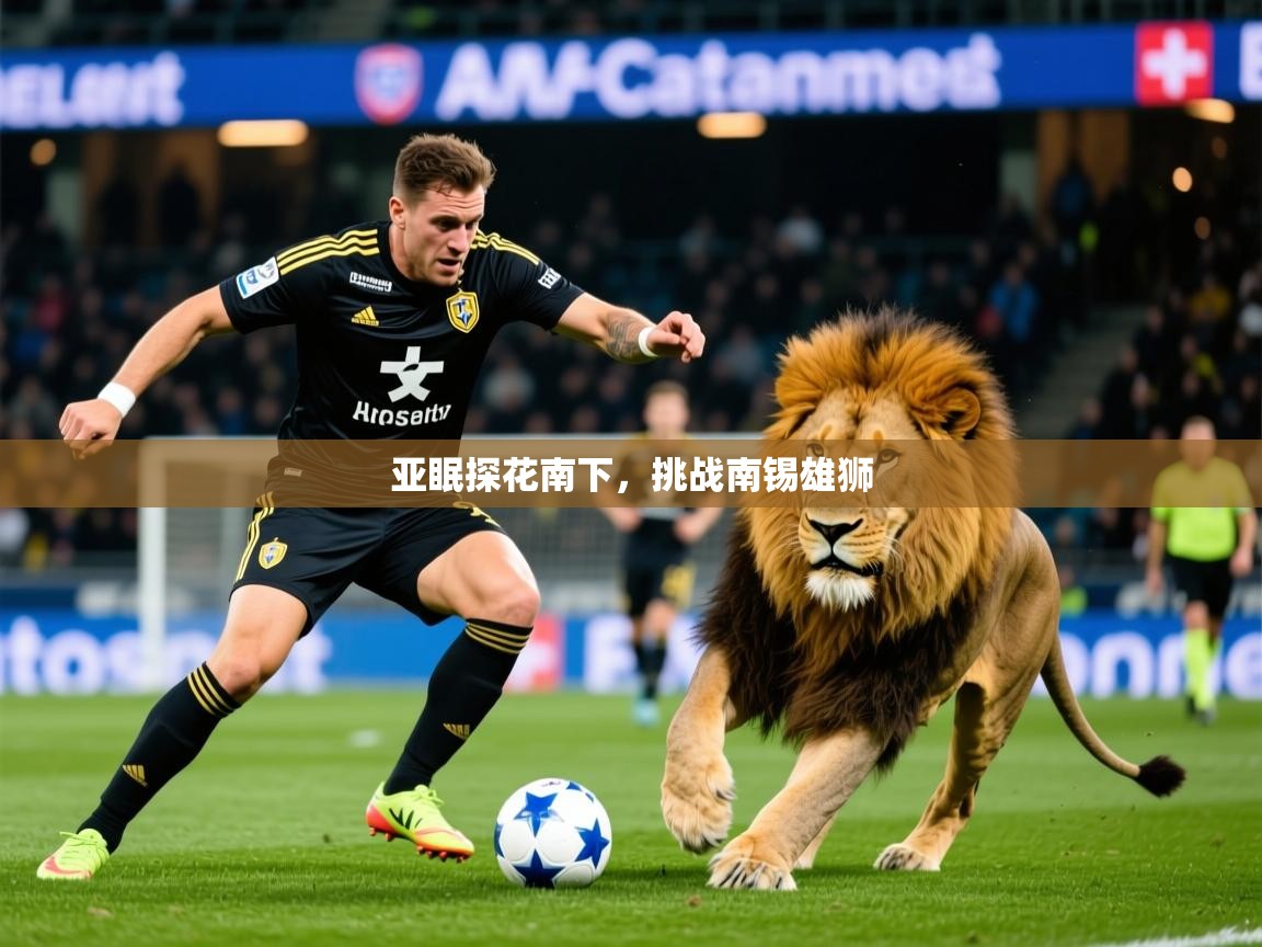 2025完美体育手机网页版亚眠探花南下,挑战南锡雄狮  第4张