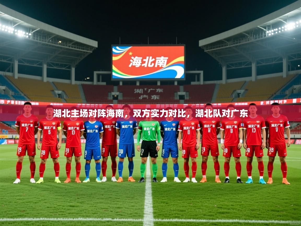 2025完美体育官网湖北主场对阵海南，双方实力对比，湖北队对广东