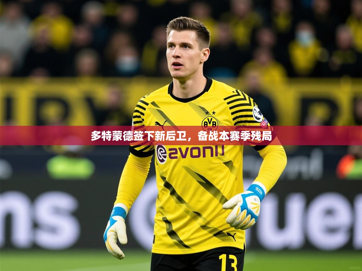 2025完美体育官方体育平台多特蒙德签下新后卫，备战本赛季残局