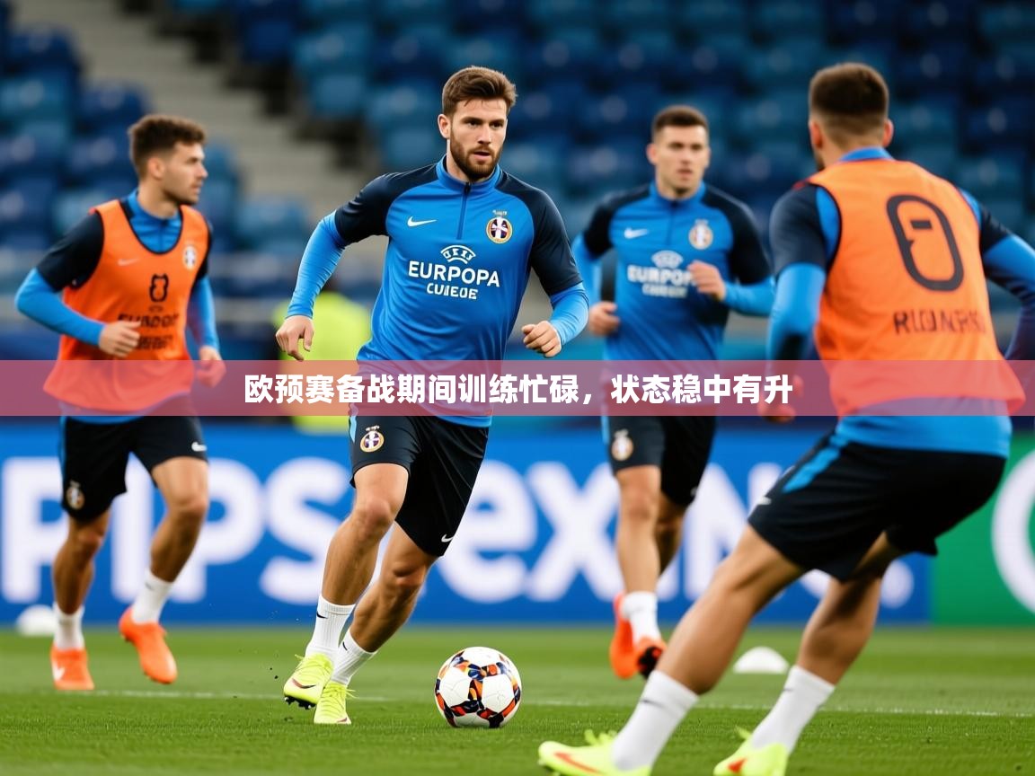 2025完美体育网址欧预赛备战期间训练忙碌，状态稳中有升  第1张