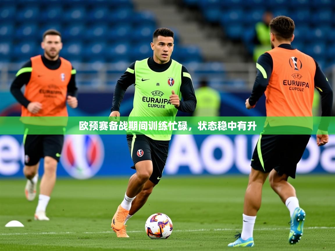 2025完美体育网址欧预赛备战期间训练忙碌，状态稳中有升  第2张