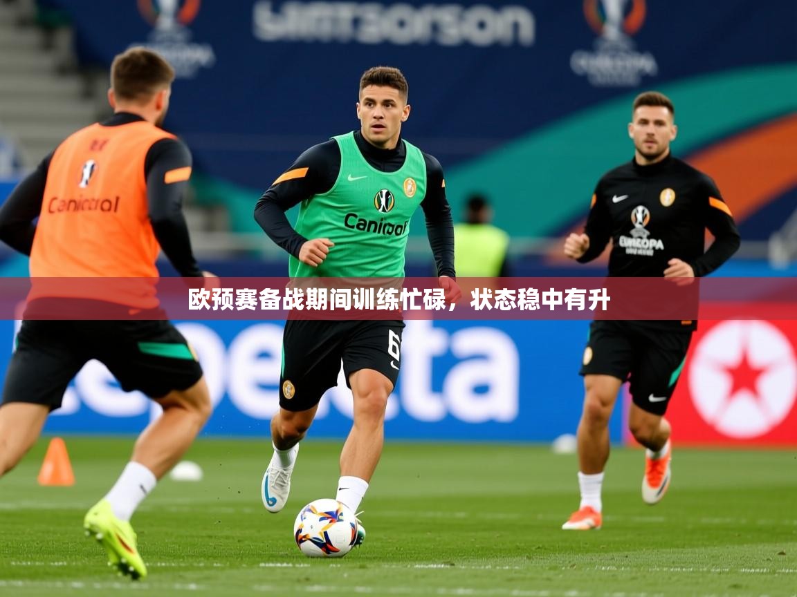 2025完美体育网址欧预赛备战期间训练忙碌，状态稳中有升  第3张