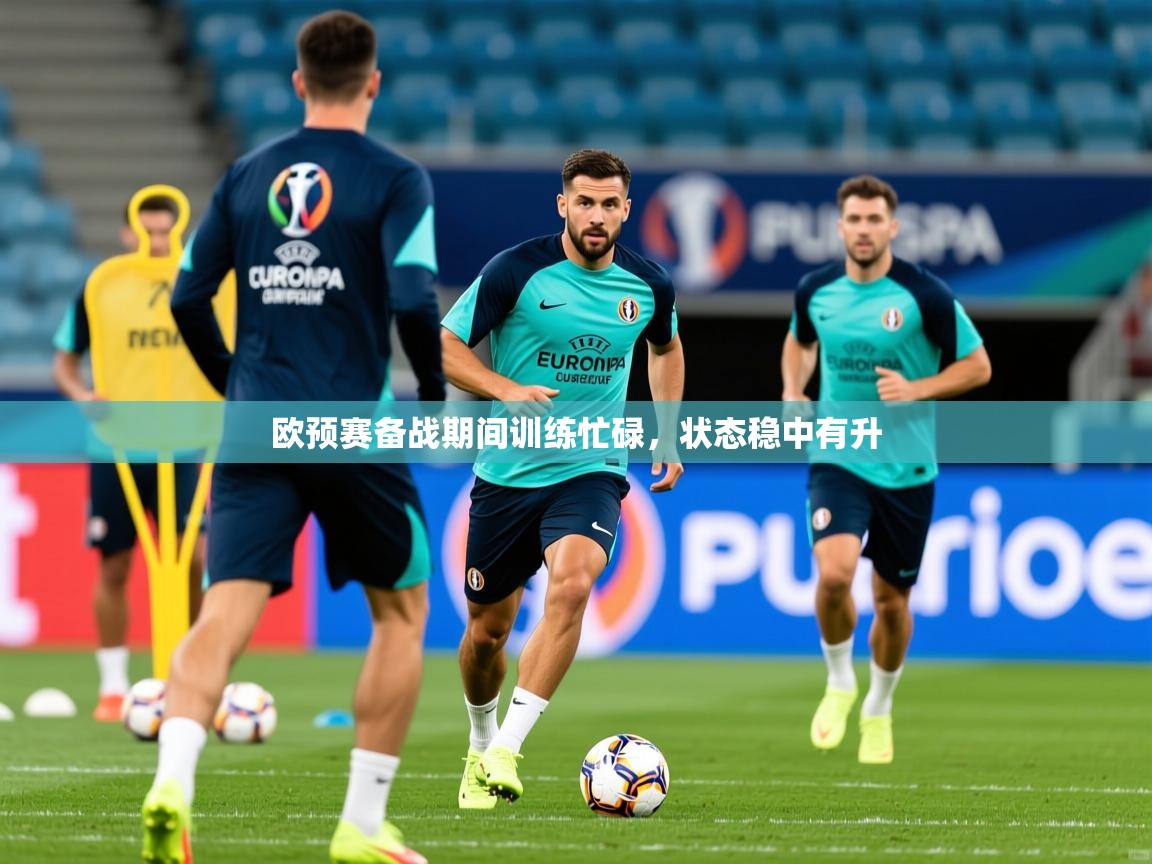 2025完美体育网址欧预赛备战期间训练忙碌，状态稳中有升  第4张